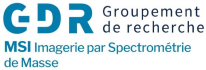 Logo_GdR_MSIsmall_1.PNG